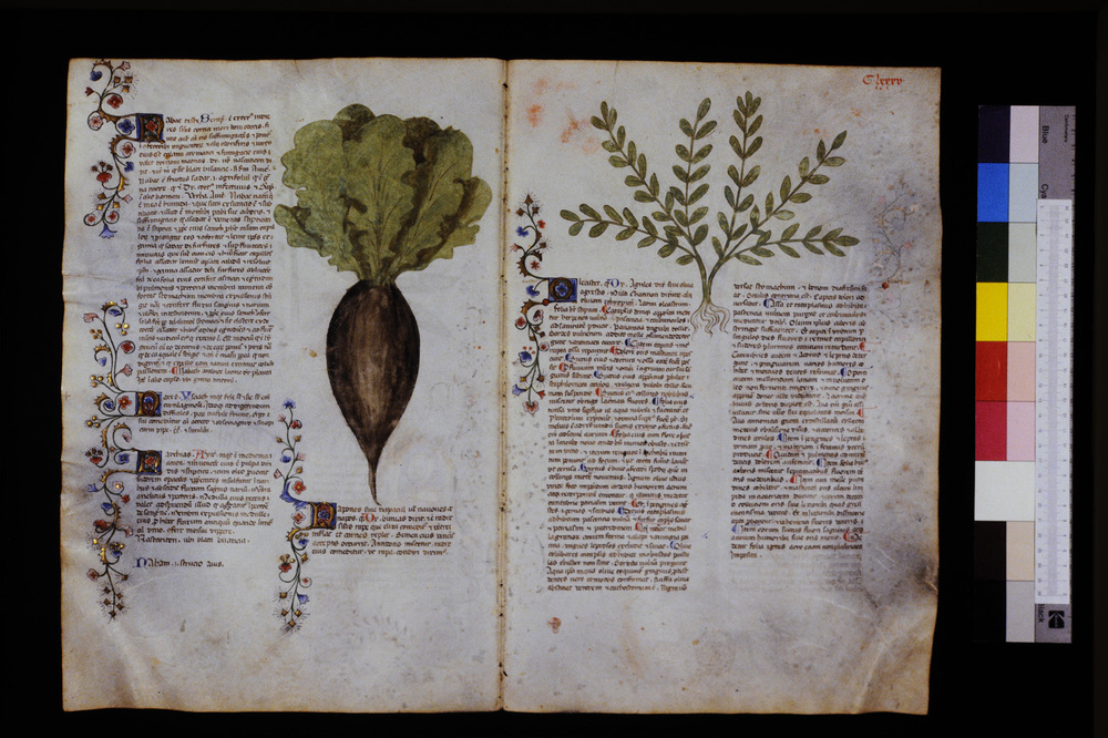 Roma, Biblioteca Casanatense, Ms. 459
icpal_29698
Keywords: Casanatense Ms. 459, Casanatense