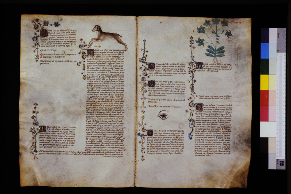 Roma, Biblioteca Casanatense, Ms. 459
icpal_29699
Keywords: Casanatense Ms. 459, Casanatense