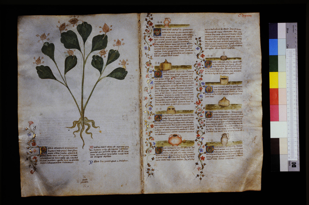 Roma, Biblioteca Casanatense, Ms. 459
icpal_29700
Keywords: Casanatense Ms. 459, Casanatense