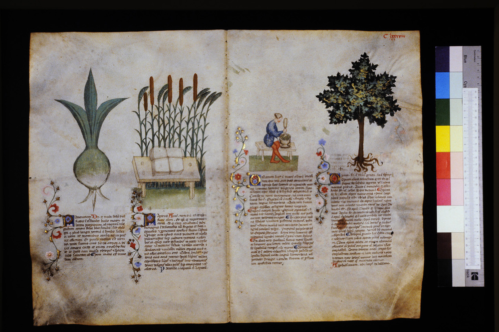 Roma, Biblioteca Casanatense, Ms. 459
icpal_29701
Keywords: Casanatense Ms. 459, Casanatense