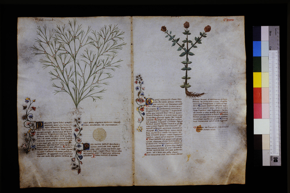 Roma, Biblioteca Casanatense, Ms. 459
icpal_29702
Keywords: Casanatense Ms. 459, Casanatense