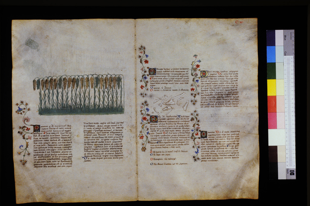 Roma, Biblioteca Casanatense, Ms. 459
icpal_29703
Keywords: Casanatense Ms. 459, Casanatense