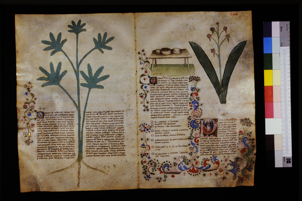Roma, Biblioteca Casanatense, Ms. 459
icpal_29705
Keywords: Casanatense Ms. 459, Casanatense
