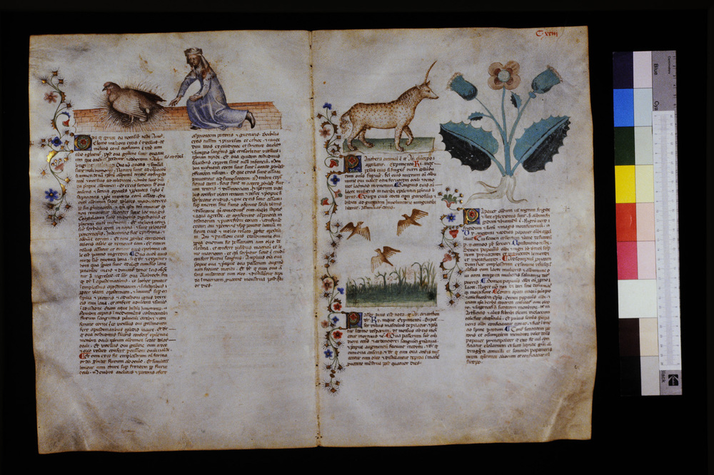 Roma, Biblioteca Casanatense, Ms. 459
icpal_29706
Keywords: Casanatense Ms. 459, Casanatense