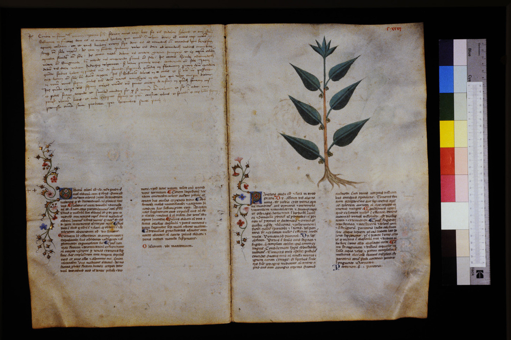 Roma, Biblioteca Casanatense, Ms. 459
icpal_29709
Keywords: Casanatense Ms. 459, Casanatense