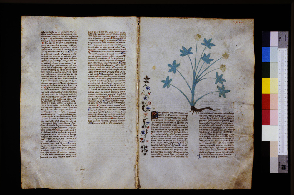 Roma, Biblioteca Casanatense, Ms. 459
icpal_29710
Keywords: Casanatense Ms. 459, Casanatense