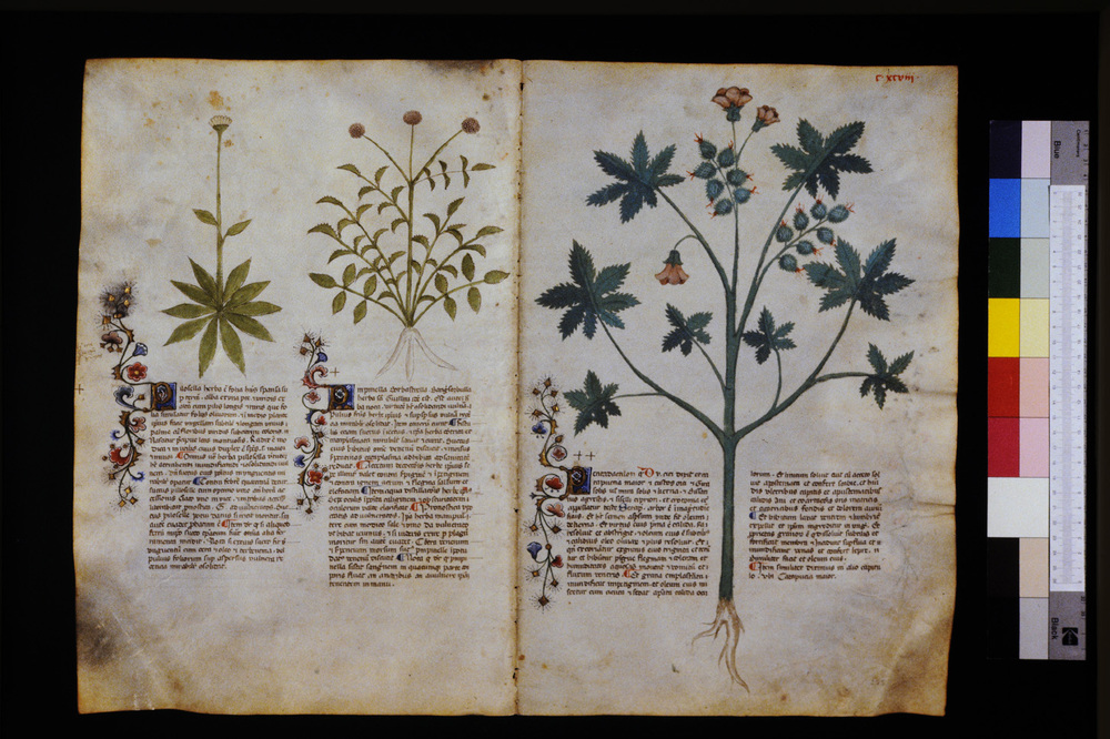 Roma, Biblioteca Casanatense, Ms. 459
icpal_29711
Keywords: Casanatense Ms. 459, Casanatense