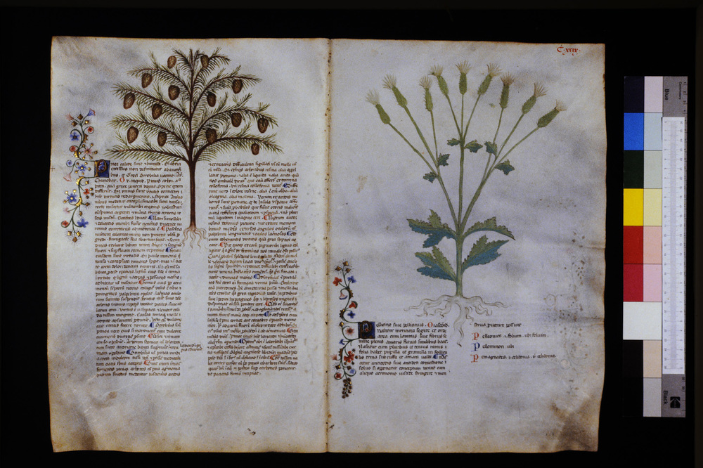 Roma, Biblioteca Casanatense, Ms. 459
icpal_29712
Keywords: Casanatense Ms. 459, Casanatense