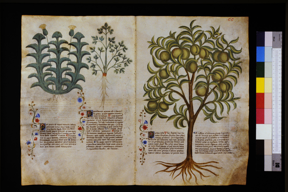 Roma, Biblioteca Casanatense, Ms. 459
icpal_29713
Keywords: Casanatense Ms. 459, Casanatense