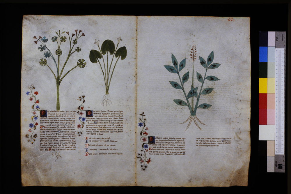 Roma, Biblioteca Casanatense, Ms. 459
icpal_29714
Keywords: Casanatense Ms. 459, Casanatense