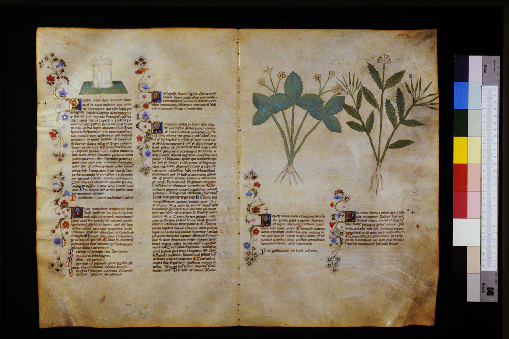 Roma, Biblioteca Casanatense, Ms. 459
icpal_29715
Keywords: Casanatense Ms. 459, Casanatense
