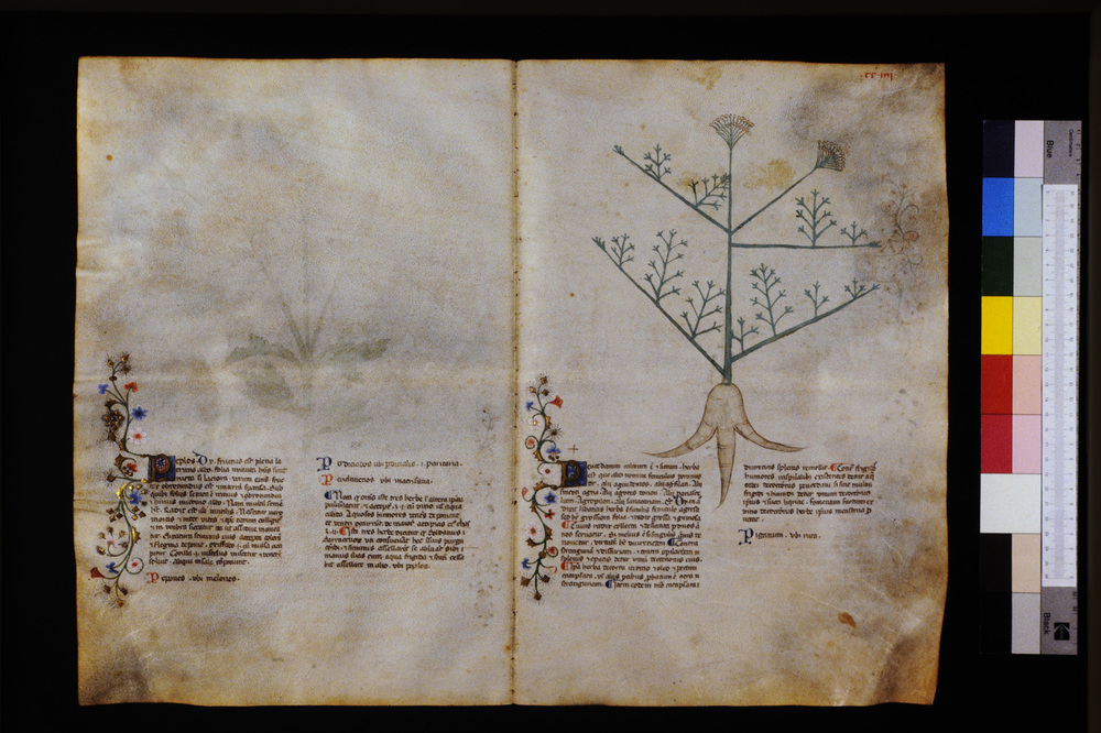 Roma, Biblioteca Casanatense, Ms. 459
icpal_29717
Keywords: Casanatense Ms. 459, Casanatense