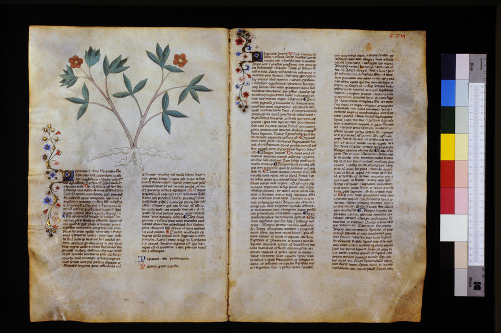 Roma, Biblioteca Casanatense, Ms. 459
icpal_29719
Keywords: Casanatense Ms. 459, Casanatense