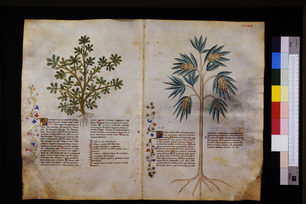 Roma, Biblioteca Casanatense, Ms. 459
icpal_29721
Keywords: Casanatense Ms. 459, Casanatense