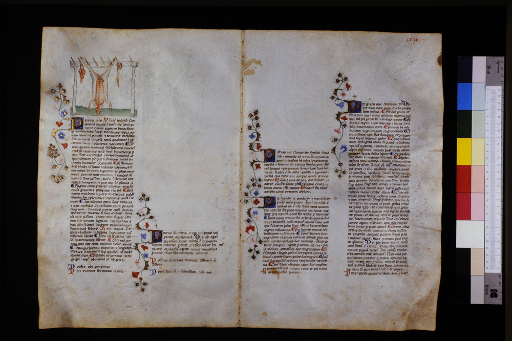 Roma, Biblioteca Casanatense, Ms. 459
icpal_29722
Keywords: Casanatense Ms. 459, Casanatense