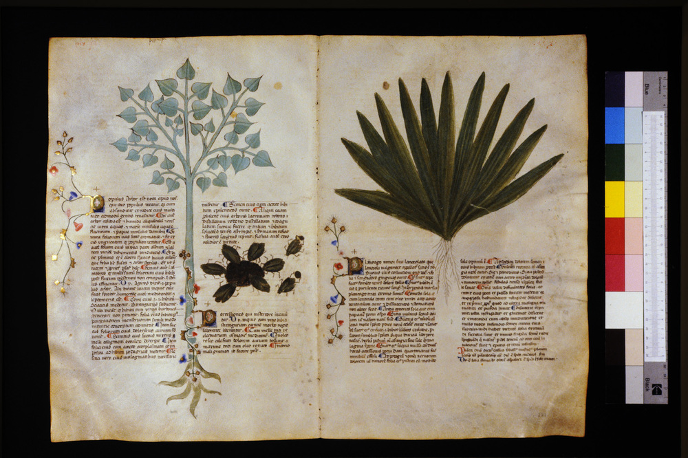 Roma, Biblioteca Casanatense, Ms. 459
icpal_29723
Keywords: Casanatense Ms. 459, Casanatense
