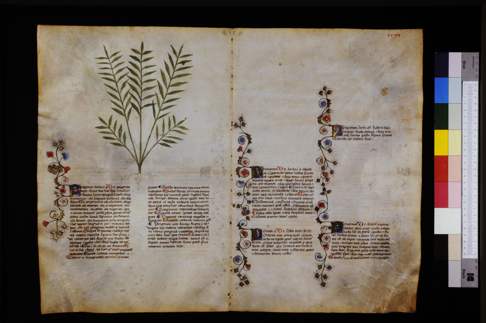 Roma, Biblioteca Casanatense, Ms. 459
icpal_29725
Keywords: Casanatense Ms. 459, Casanatense