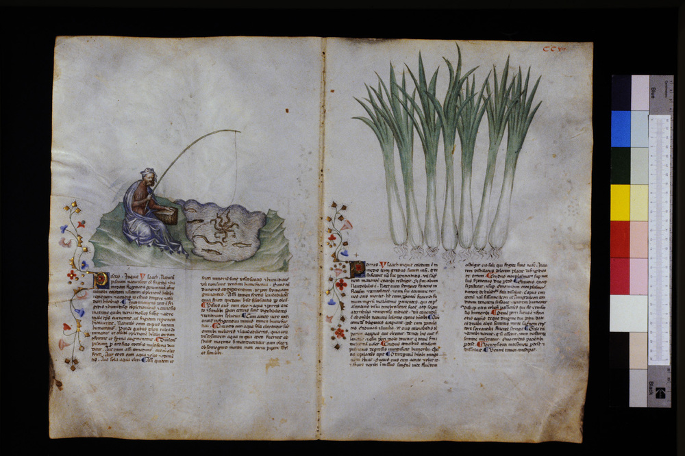 Roma, Biblioteca Casanatense, Ms. 459
icpal_29728
Keywords: Casanatense Ms. 459, Casanatense