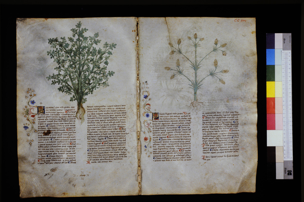 Roma, Biblioteca Casanatense, Ms. 459
icpal_29730
Keywords: Casanatense Ms. 459, Casanatense