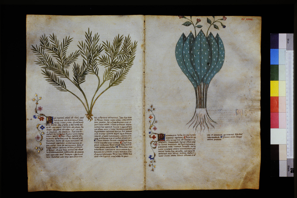 Roma, Biblioteca Casanatense, Ms. 459
icpal_29731
Keywords: Casanatense Ms. 459, Casanatense