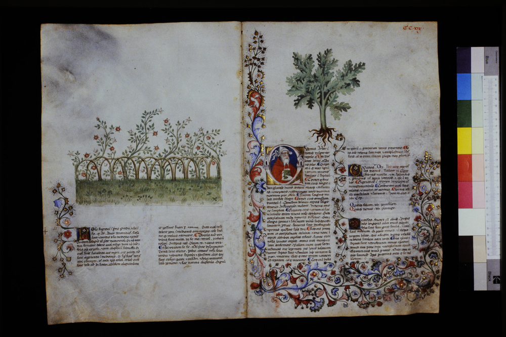 Roma, Biblioteca Casanatense, Ms. 459
icpal_29732
Keywords: Casanatense Ms. 459, Casanatense