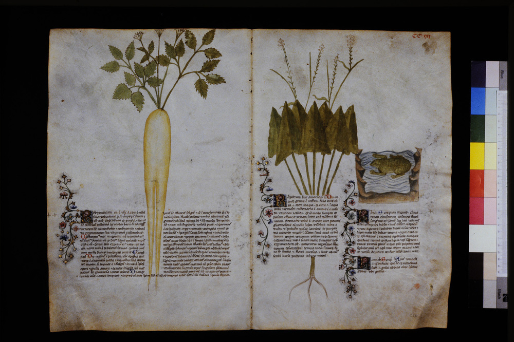 Roma, Biblioteca Casanatense, Ms. 459
icpal_29734
Keywords: Casanatense Ms. 459, Casanatense