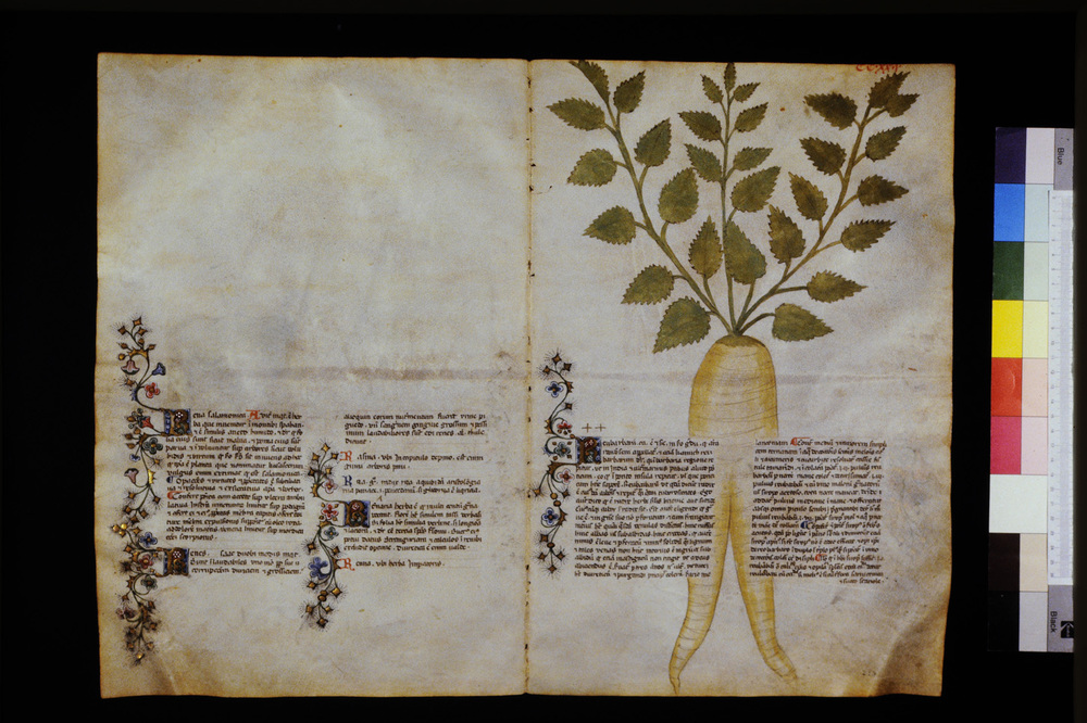 Roma, Biblioteca Casanatense, Ms. 459
icpal_29735
Keywords: Casanatense Ms. 459, Casanatense