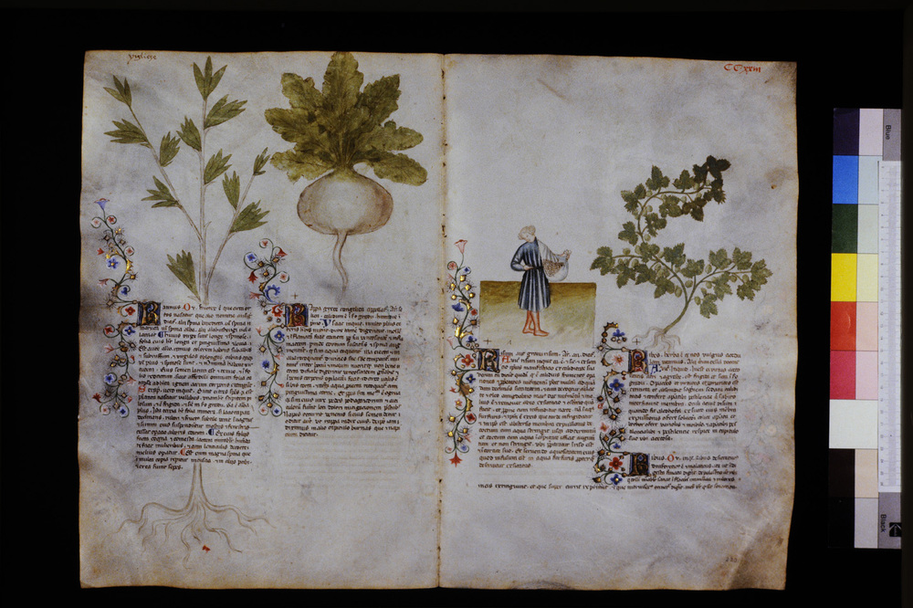 Roma, Biblioteca Casanatense, Ms. 459
icpal_29736
Keywords: Casanatense Ms. 459, Casanatense