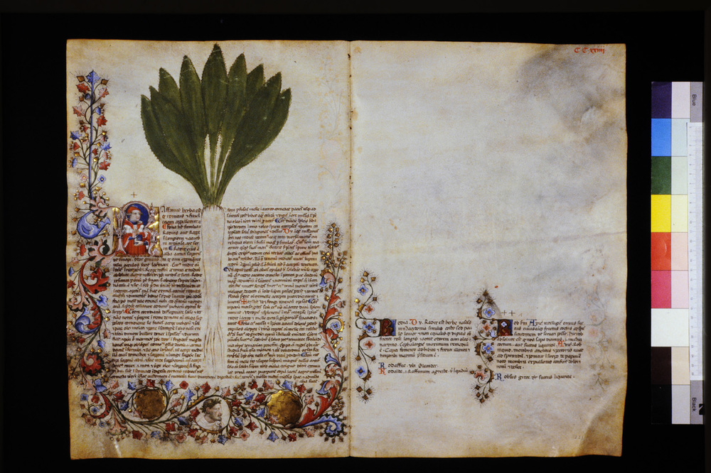 Roma, Biblioteca Casanatense, Ms. 459
icpal_29737
Keywords: Casanatense Ms. 459, Casanatense