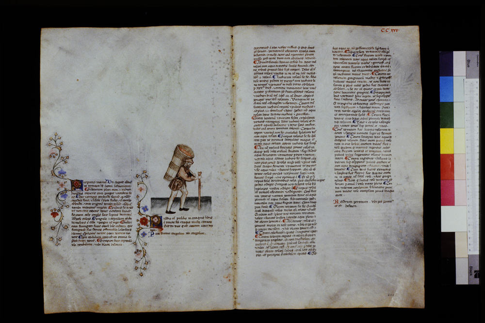 Roma, Biblioteca Casanatense, Ms. 459
icpal_29738
Keywords: Casanatense Ms. 459, Casanatense