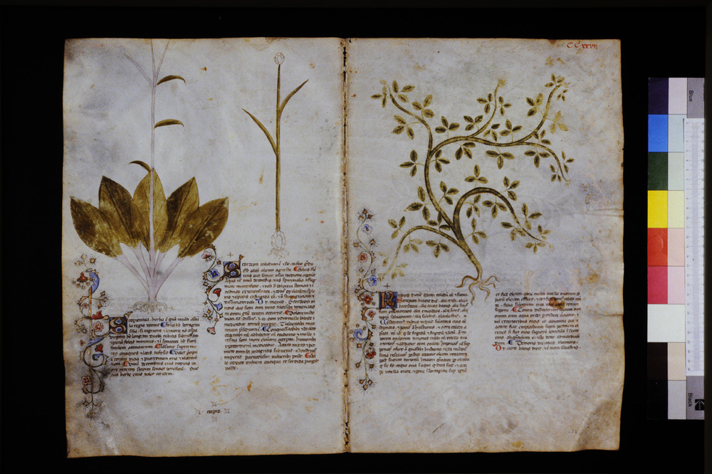 Roma, Biblioteca Casanatense, Ms. 459
icpal_29740
Keywords: Casanatense Ms. 459, Casanatense