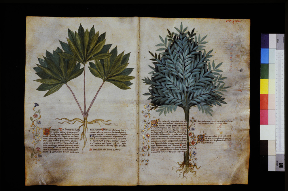 Roma, Biblioteca Casanatense, Ms. 459
icpal_29741
Keywords: Casanatense Ms. 459, Casanatense