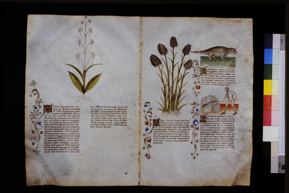 Roma, Biblioteca Casanatense, Ms. 459
icpal_29742
Keywords: Casanatense Ms. 459, Casanatense