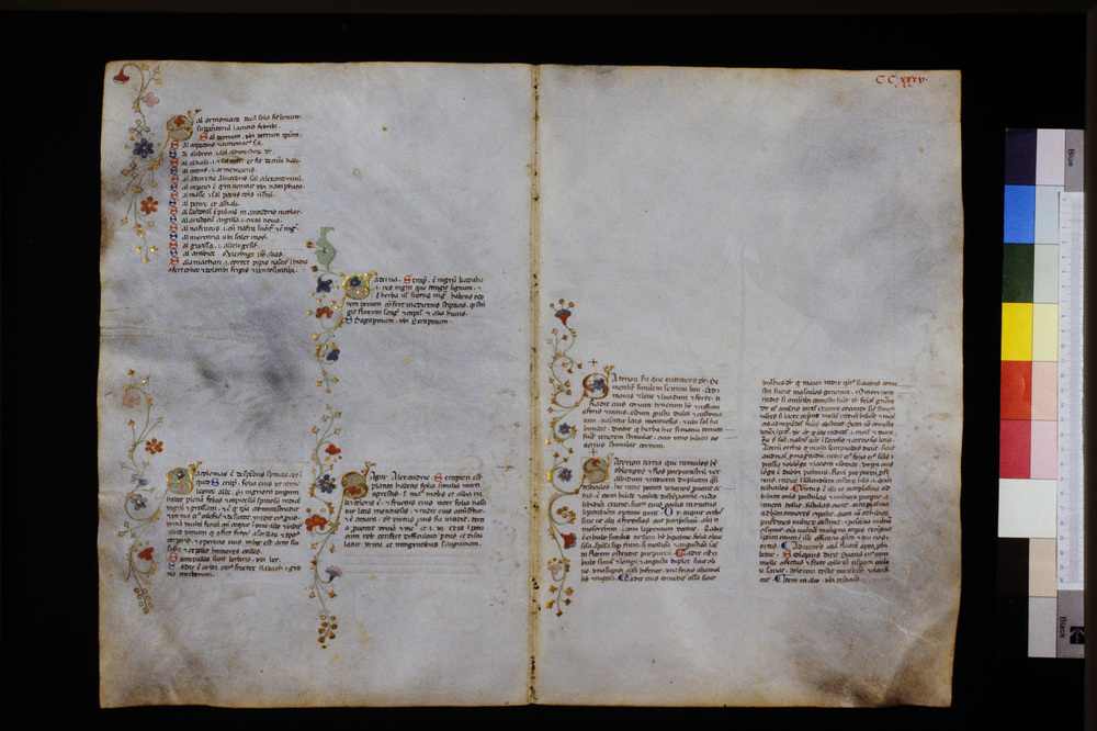 Roma, Biblioteca Casanatense, Ms. 459
icpal_29748
Keywords: Casanatense Ms. 459, Casanatense