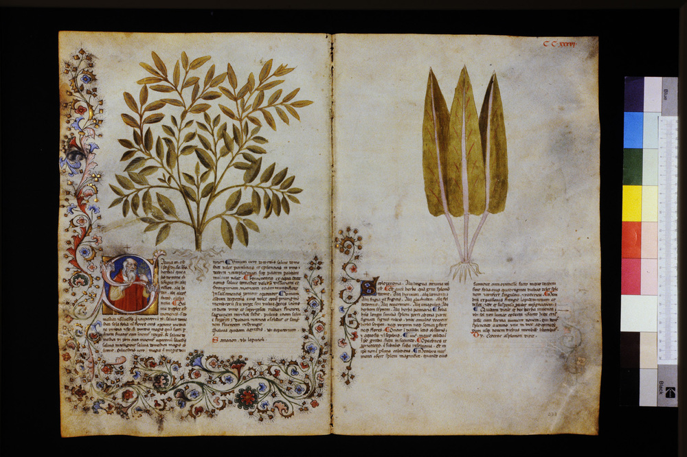 Roma, Biblioteca Casanatense, Ms. 459
icpal_29749
Keywords: Casanatense Ms. 459, Casanatense