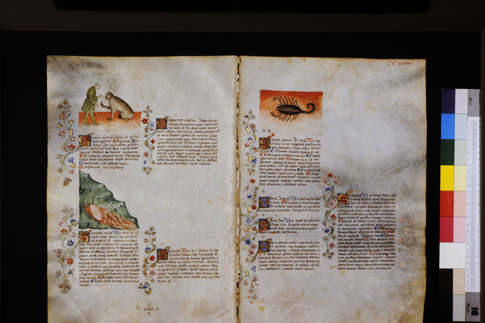 Roma, Biblioteca Casanatense, Ms. 459
icpal_29750
Keywords: Casanatense Ms. 459, Casanatense