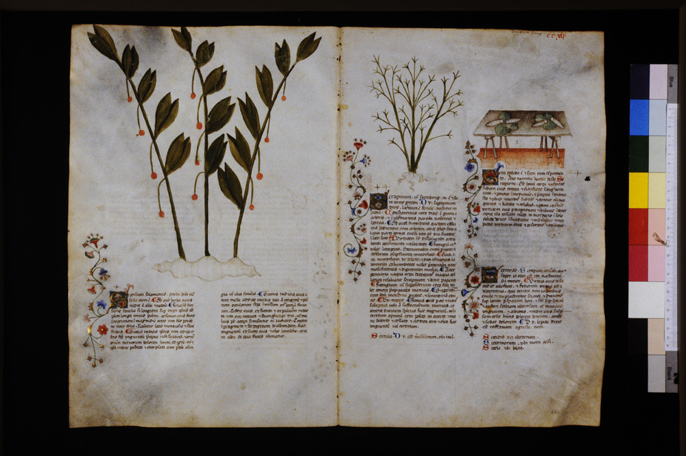 Roma, Biblioteca Casanatense, Ms. 459
icpal_29754
Keywords: Casanatense Ms. 459, Casanatense