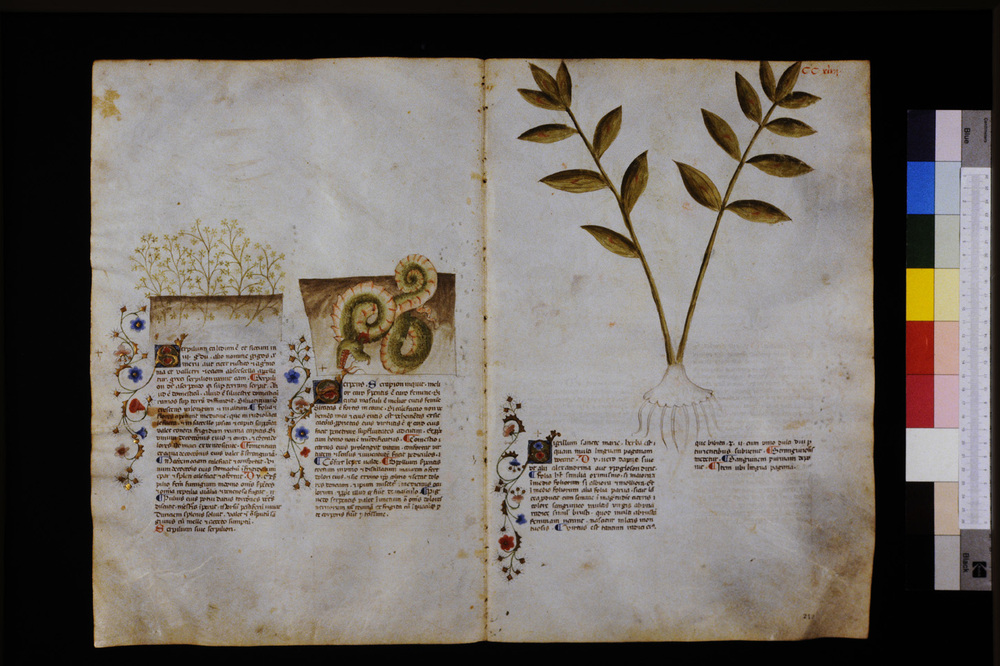 Roma, Biblioteca Casanatense, Ms. 459
icpal_29756
Keywords: Casanatense Ms. 459, Casanatense