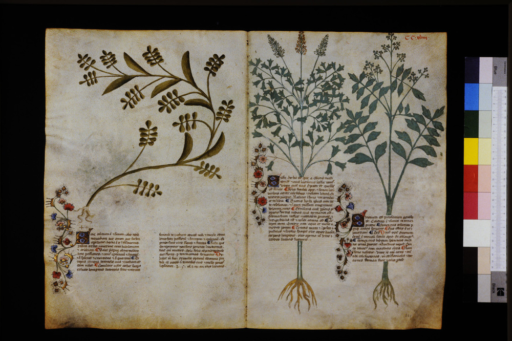 Roma, Biblioteca Casanatense, Ms. 459
icpal_29757
Keywords: Casanatense Ms. 459, Casanatense