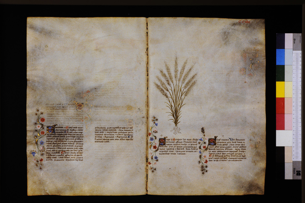 Roma, Biblioteca Casanatense, Ms. 459
icpal_29759
Keywords: Casanatense Ms. 459, Casanatense