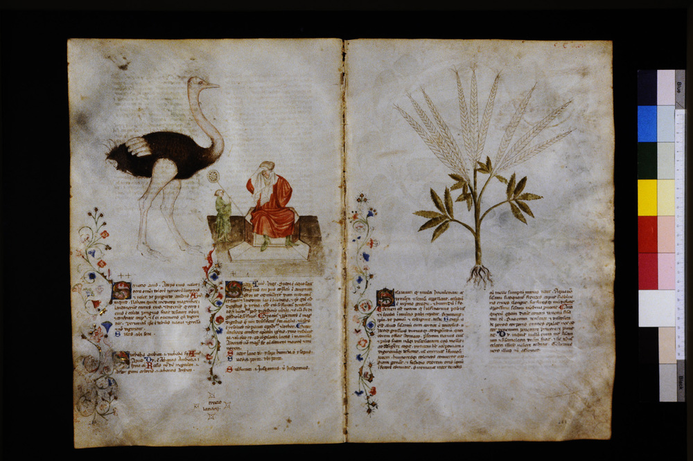 Roma, Biblioteca Casanatense, Ms. 459
icpal_29760
Keywords: Casanatense Ms. 459, Casanatense