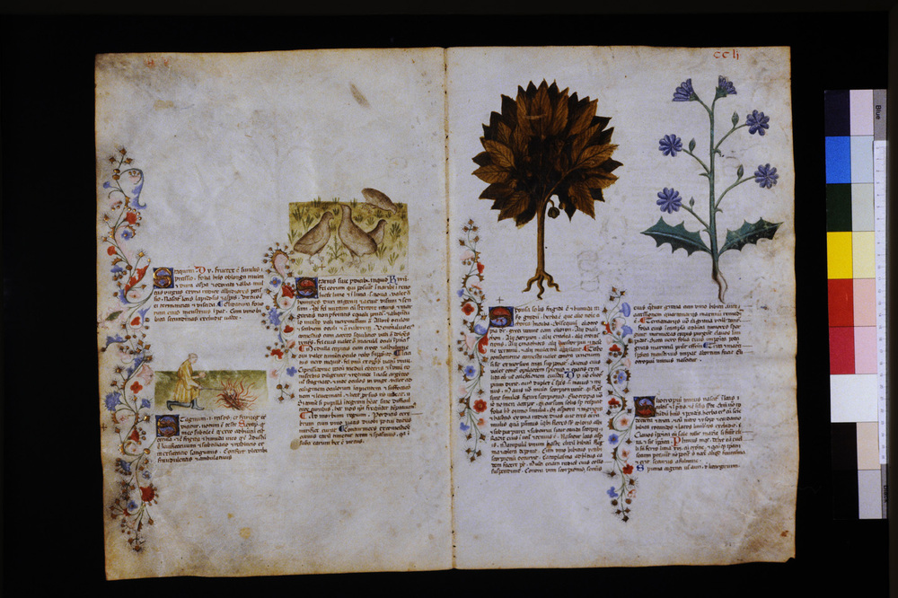 Roma, Biblioteca Casanatense, Ms. 459
icpal_29764
Keywords: Casanatense Ms. 459, Casanatense