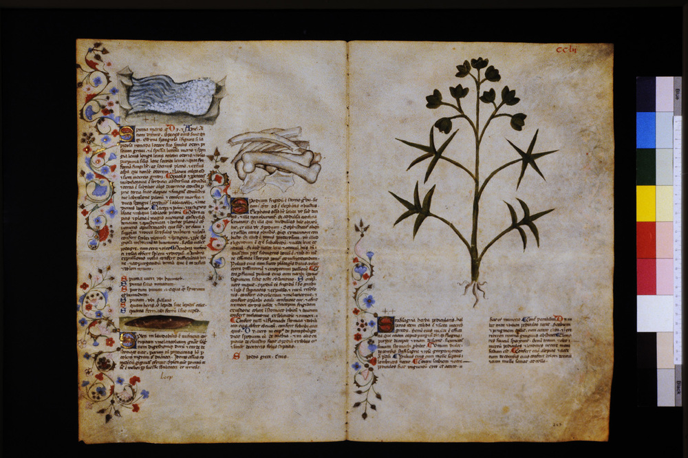Roma, Biblioteca Casanatense, Ms. 459
icpal_29765
Keywords: Casanatense Ms. 459, Casanatense