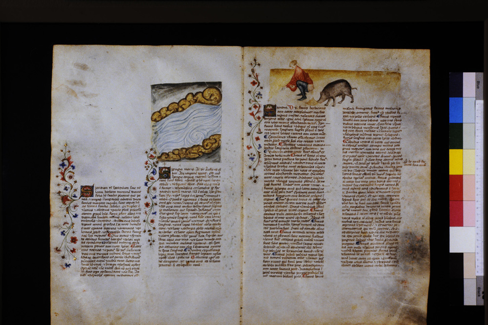 Roma, Biblioteca Casanatense, Ms. 459
icpal_29766
Keywords: Casanatense Ms. 459, Casanatense