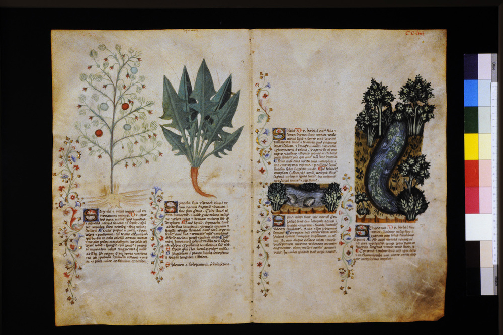 Roma, Biblioteca Casanatense, Ms. 459
icpal_29767
Keywords: Casanatense Ms. 459, Casanatense