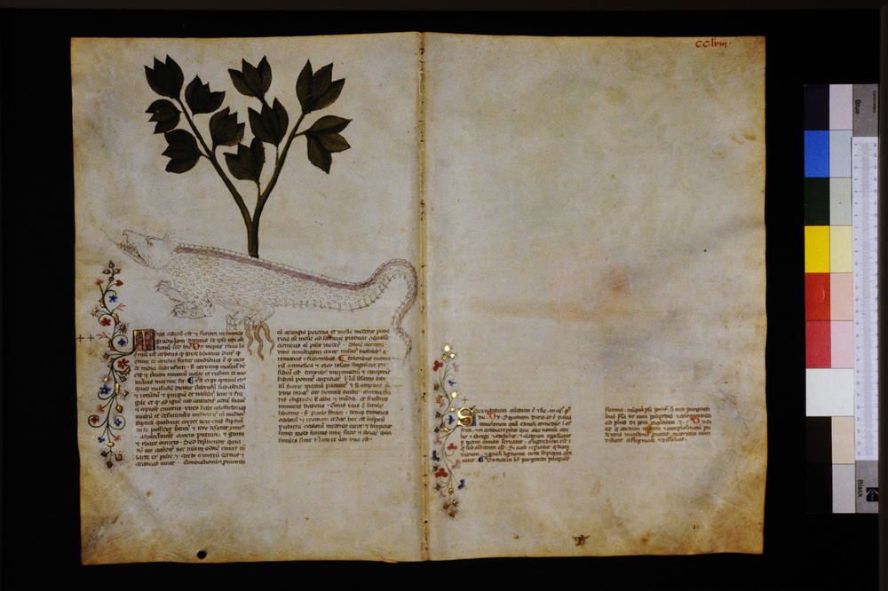 Roma, Biblioteca Casanatense, Ms. 459
icpal_29771
Keywords: Casanatense Ms. 459, Casanatense
