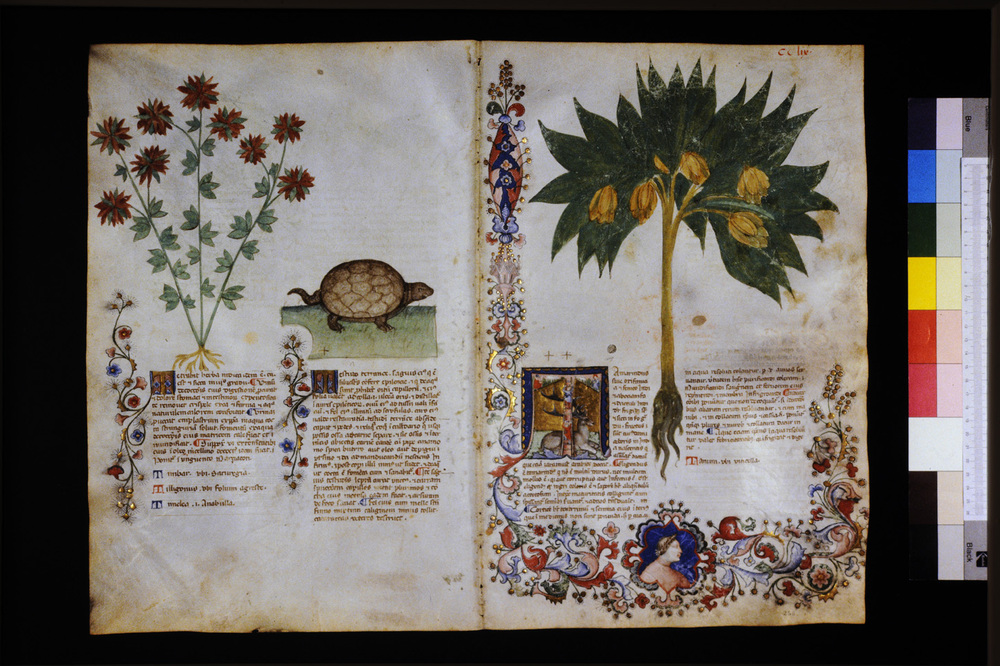 Roma, Biblioteca Casanatense, Ms. 459
icpal_29772
Keywords: Casanatense Ms. 459, Casanatense