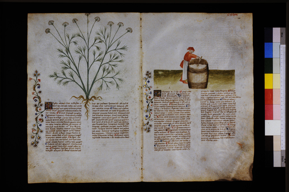 Roma, Biblioteca Casanatense, Ms. 459
icpal_29776
Keywords: Casanatense Ms. 459, Casanatense