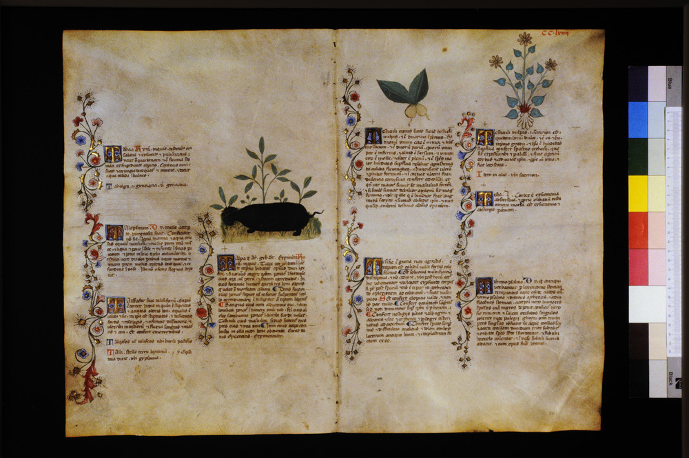 Roma, Biblioteca Casanatense, Ms. 459
icpal_29777
Keywords: Casanatense Ms. 459, Casanatense