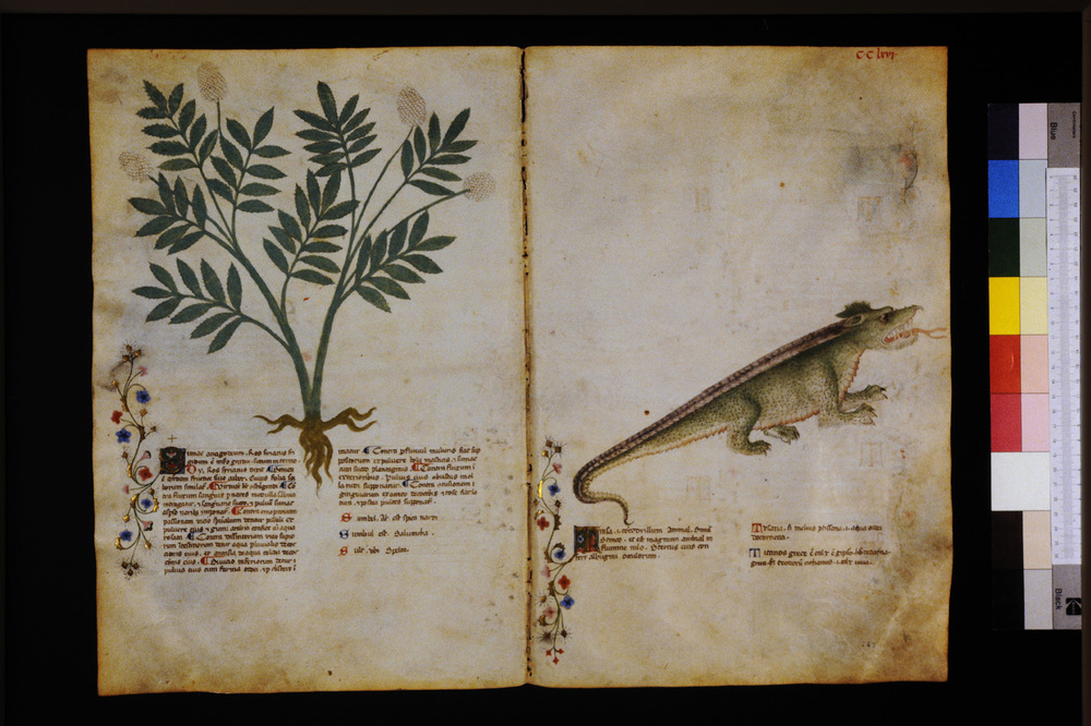 Roma, Biblioteca Casanatense, Ms. 459
icpal_29779
Keywords: Casanatense Ms. 459, Casanatense